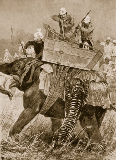 La visita del Príncipe de Gales a la India, 1876: El elefante del príncipe atacado por un tigre en el Terai de Nepal, 21 de febrero, de 